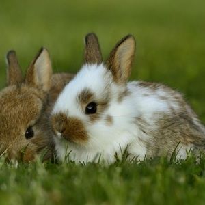 Meet your Posher, Elijah